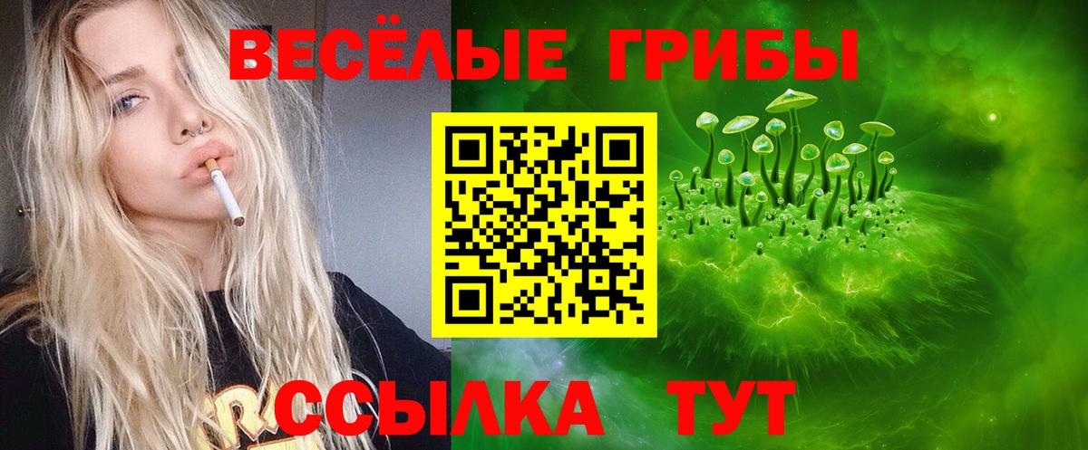Касимов  Псилоцибиновые грибы Psilocybe  Вход с VPN 