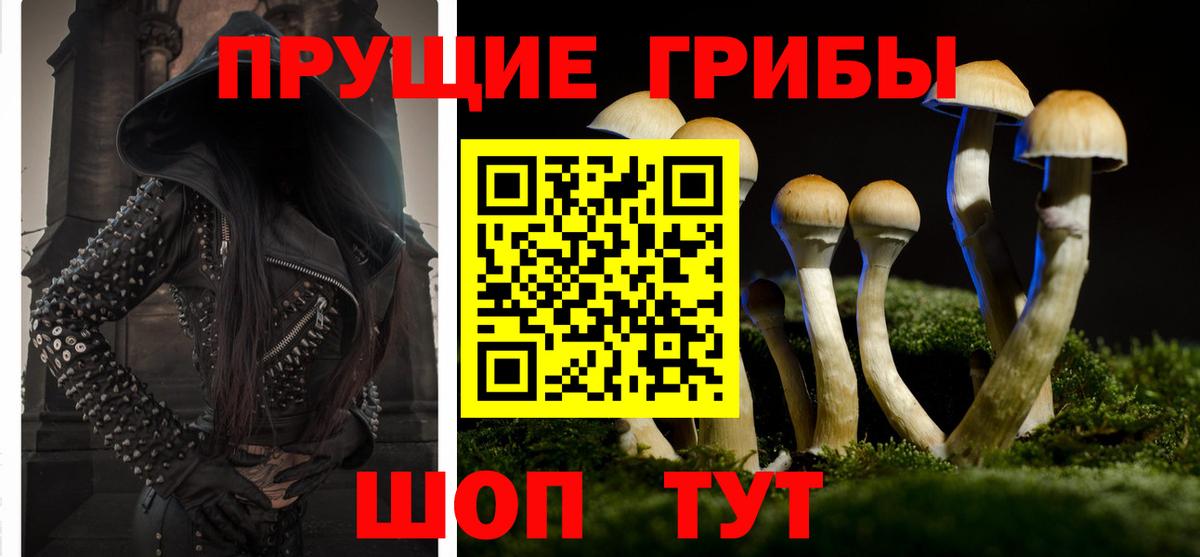 Галлюциногенные грибы мухоморы Касимов